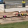 'Carnage': Greyhound industry slammed after dog death south of Perth