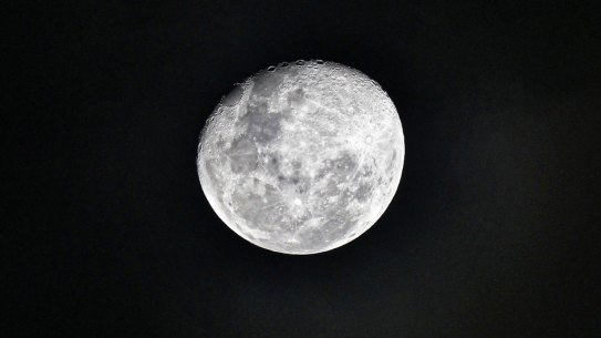 Ice-rich areas are located near the moon's north and south poles, scientists say.