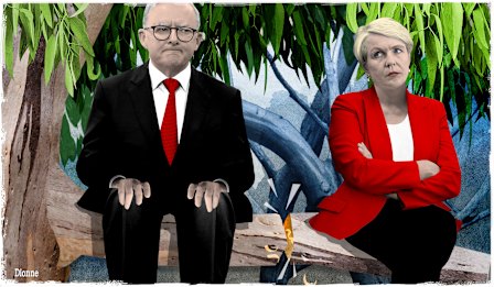 Illustration: Dionne Gain 