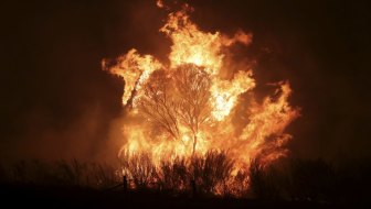 A bushfire burning south of Canberra last year.
