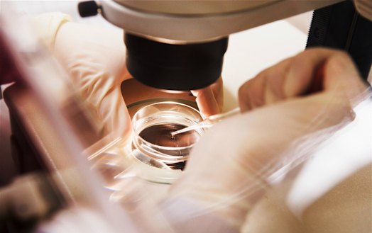 IVF has brought joy to many Victorian families, but left others heartbroken and financially stressed.