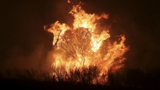 A bushfire burning south of Canberra last year.
