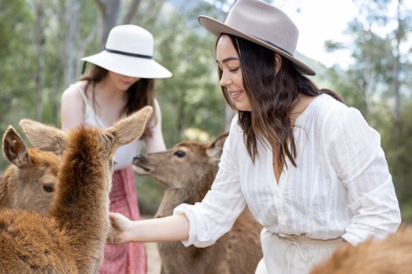 Cuddling and hand-feeding the deer is encouraged at Lyell Deer Sanctuary.