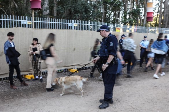 Thousands of people strip searched at music festivals could be entitled to compensation from NSW Police.