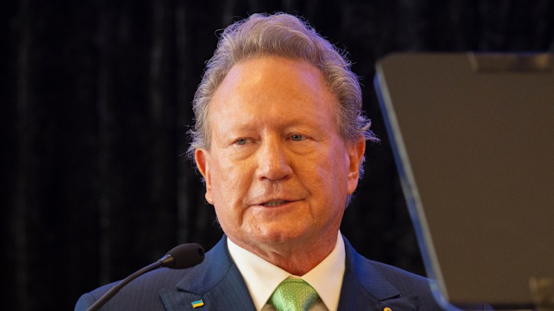 Fortescue cuts dividend after Iron Bridge woes drag on profit