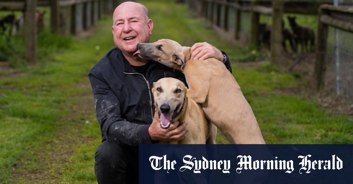 Terry Bailey reinvents himself from Racing.com race caller to greyhound trainer after sacking