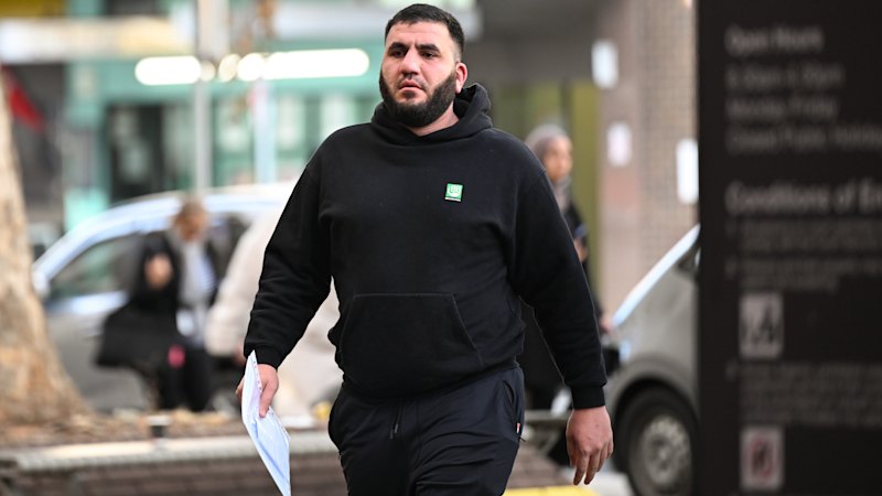 Sydney home of alleged Alameddine leader sprayed by gunfire