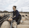 From farm to plate.