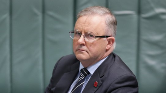 Anthony Albanese: too much fighting Tories, not enough policy. 