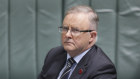 Albo: too much fighting Tories, not enough policy. 