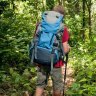 Hikers urged to talk the talk while walking the walk to ward off snakes