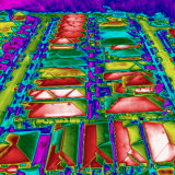 Infrared images show the high temperatures generated by dark roofs in density housing.