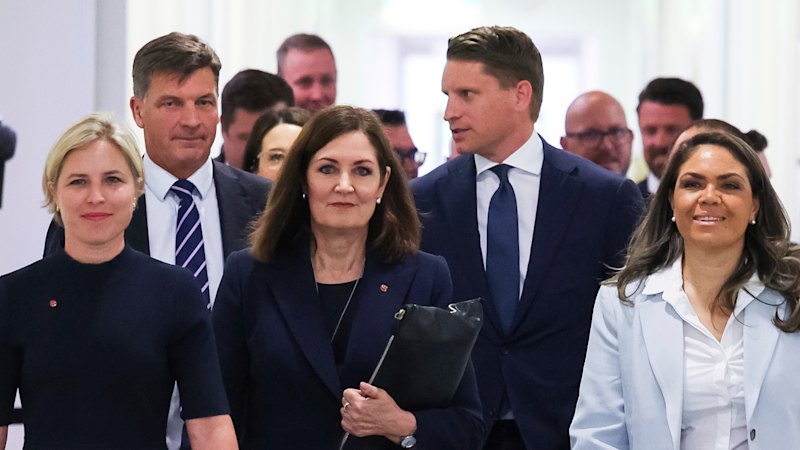 Opozorilo: Izguba podpore za ničelno stopnjo emisij bi imela dolgoročne posledice