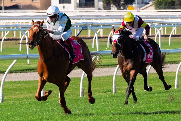 The Matt Smith-trained Aethelwulf, pictured winning at Newcastle on June 6, runs on Saturday at Rosehill and is $15 for the October 3 Metropolitan with TAB.