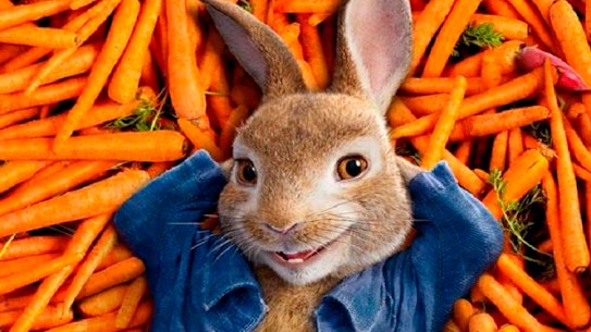 Hopping to Hollywood as Ferris Bueller gets fur