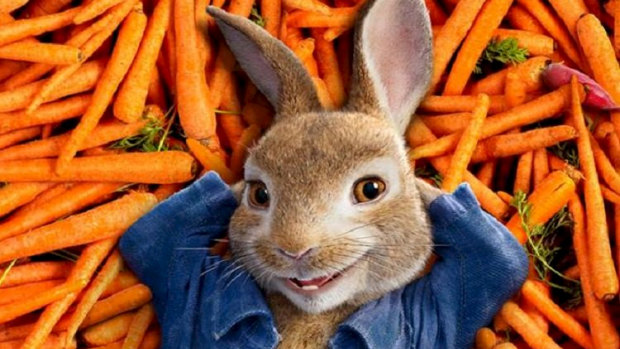 Mischievous bunny ... Peter Rabbit.
