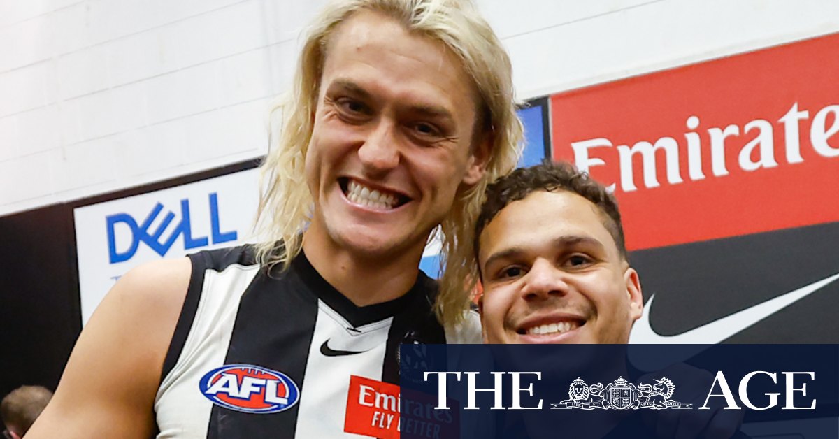 Sledges, scandals and that inimitable roar: here's why footy matters - Vimarsana News