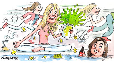A number of head office staff have departed WelleCo, co-owned by Elle Macpherson, in recent months. Illustration: John Shakespeare