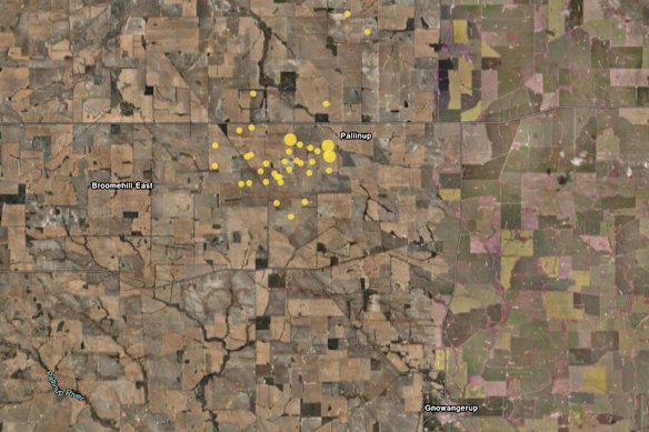 Geoscience Australia map of earthquakes near Gnowangerup in the past month.