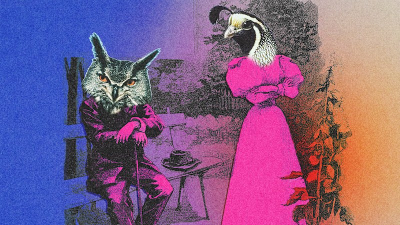 Night owls aren't lazy – we're being punished for our biology