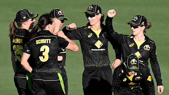 Australia have committed to a mantra of playing "fearless" cricket.