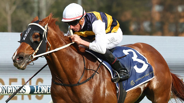 Cepheus is back to defend his title in the South Grafton Cup.