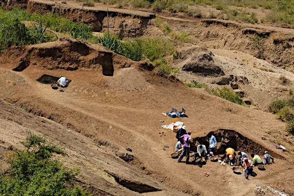 Excavations at the Nyayanga site in Kenya.