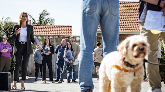 First home buyers are keen to purchase soon.