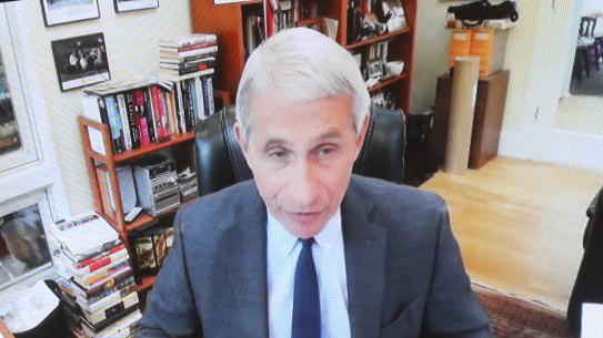 Dr Anthony Fauci, speaking from his home, told the Senate the US risked triggering new outbreaks if it re-opens the economy too quickly. 