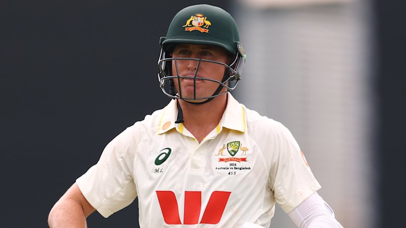 Labuschagne says he is fighting to save his international Test career