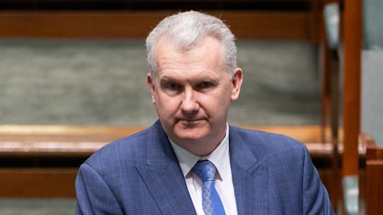 Tony Burke is the third Albanese government minister to speak out publicly about the selective way Palestinian-Australians had felt treated since the Israel-Hamas war broke out.