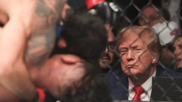 Much in common? Donald Trump watches a UFC fight in Nevada last year.