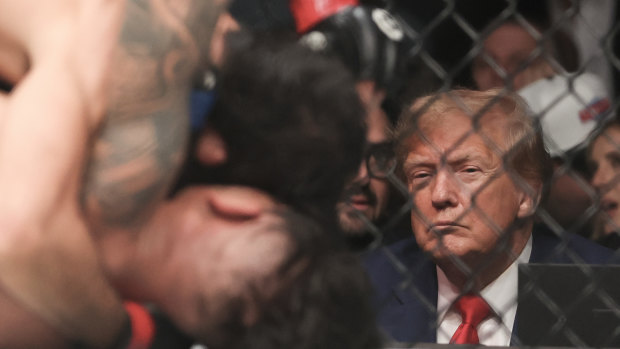 Much in common? Donald Trump watches a UFC fight in Nevada last year.