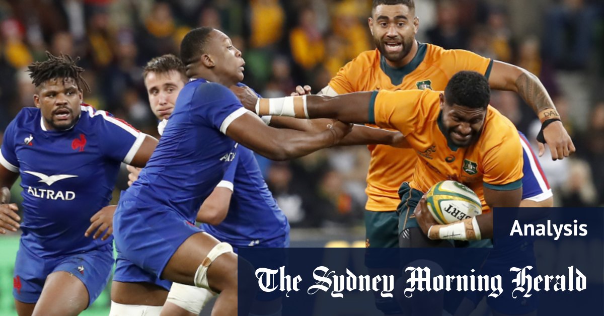 Why the Wallabies job remains one of the best in world rugby