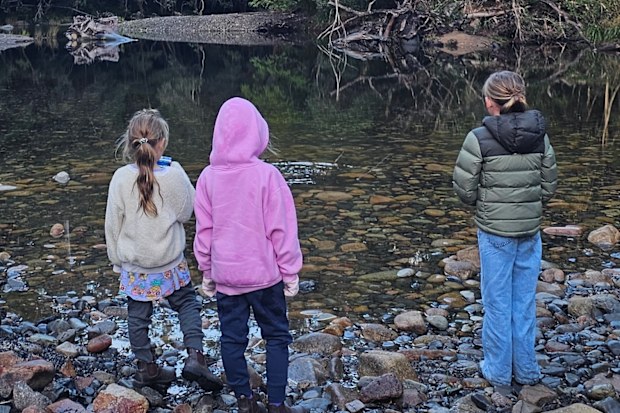 Journalist Sam Purcell’s kids during family holiday