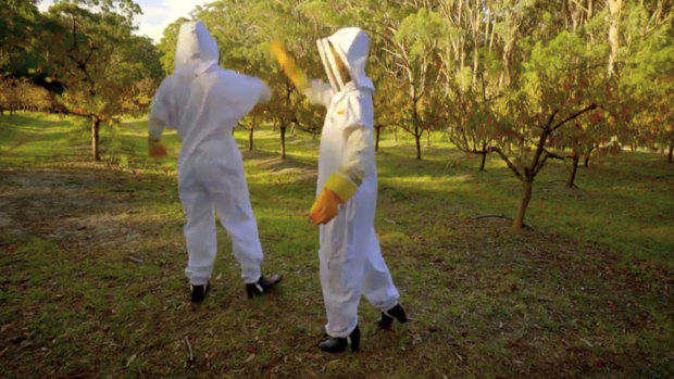Our favourite bit of the beekeeping date? When Cummins, left, and Tenille high-fived and missed. 