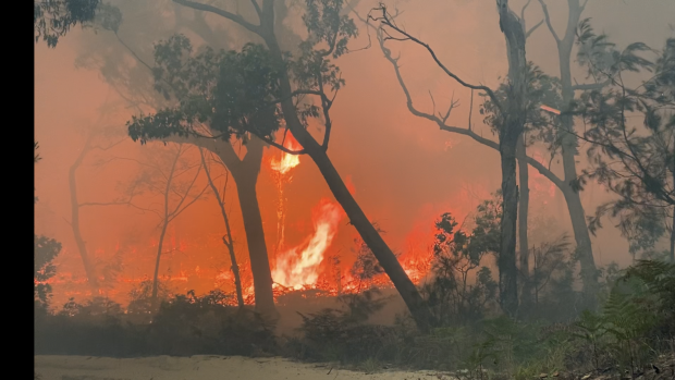 A fire on Moreton Island over the 2019-20 bushfire season.