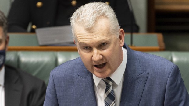 Workplace Relations Minister Tony Burke.