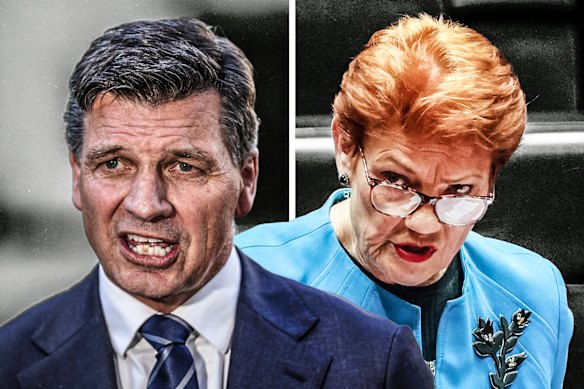 The Coalition and One Nation are competing for ascendancy on the right.