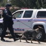 The dog squad, police negotiators and an armoured car were called in to deal with the siege in the Ipswich suburb of Barellan Point.