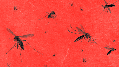 The device detecting the world’s deadliest creature