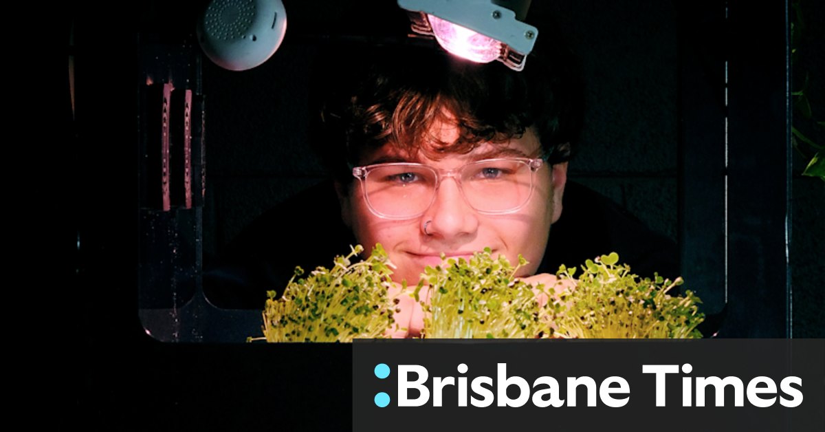 How a Victorian high school is using Farmwall, allowing students to grow microgreens in a vending machine - Vimarsana News