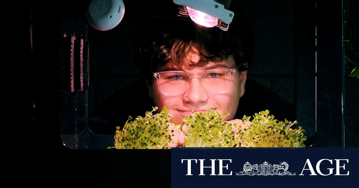 How a Victorian high school is using Farmwall, allowing students to grow microgreens in a vending machine - Vimarsana News