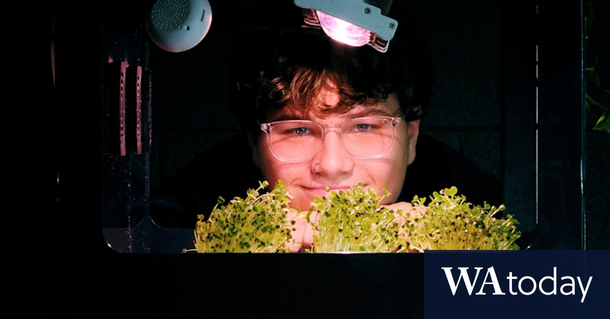 How a Victorian high school is using Farmwall, allowing students to grow microgreens in a vending machine - Vimarsana News