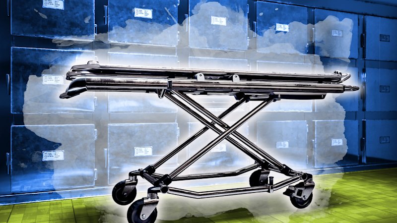 A family feud, a hospital murder claim and the body left in a freezer for a year