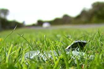 Bits of glass sit on the grass by Bellarine Highway, where the operator was attacked. 