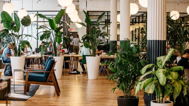 WeWork coworking headquarters in New York is one space with natural light and office plants. 