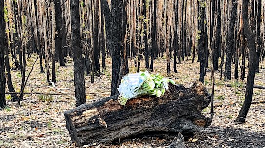 Hannah McGuire,23, was found dead in her torched car in the Ross Creek State Forest on Friday morning, Her family left flowers and a card at the site.
