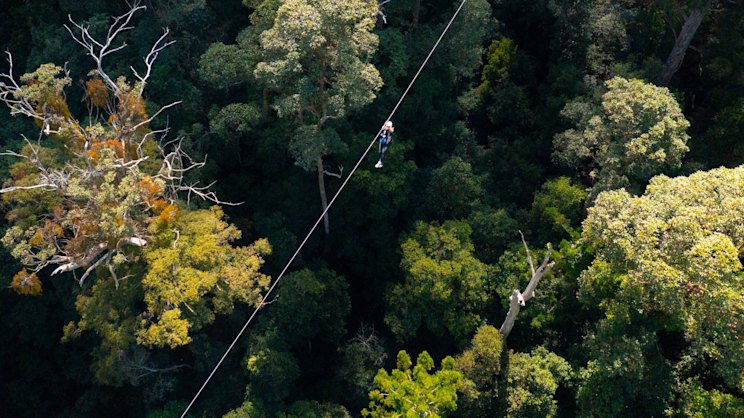 brisbanetimes.com.au - Catherine Strohfeldt - Hinterland zipline, surf park win millions in state tourism funding