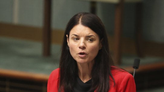 Liberal MP Dr Fiona Martin speaks in Parliament.